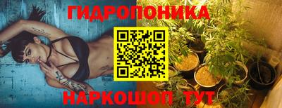 ECSTASY Моздок