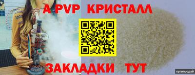 шишки Можга