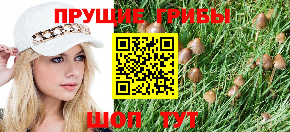 Верхняя Пышма  Галлюциногенные грибы Magic Shrooms  Вход с VPN  Псилоцибиновые грибы Psilocybine cubensis 
